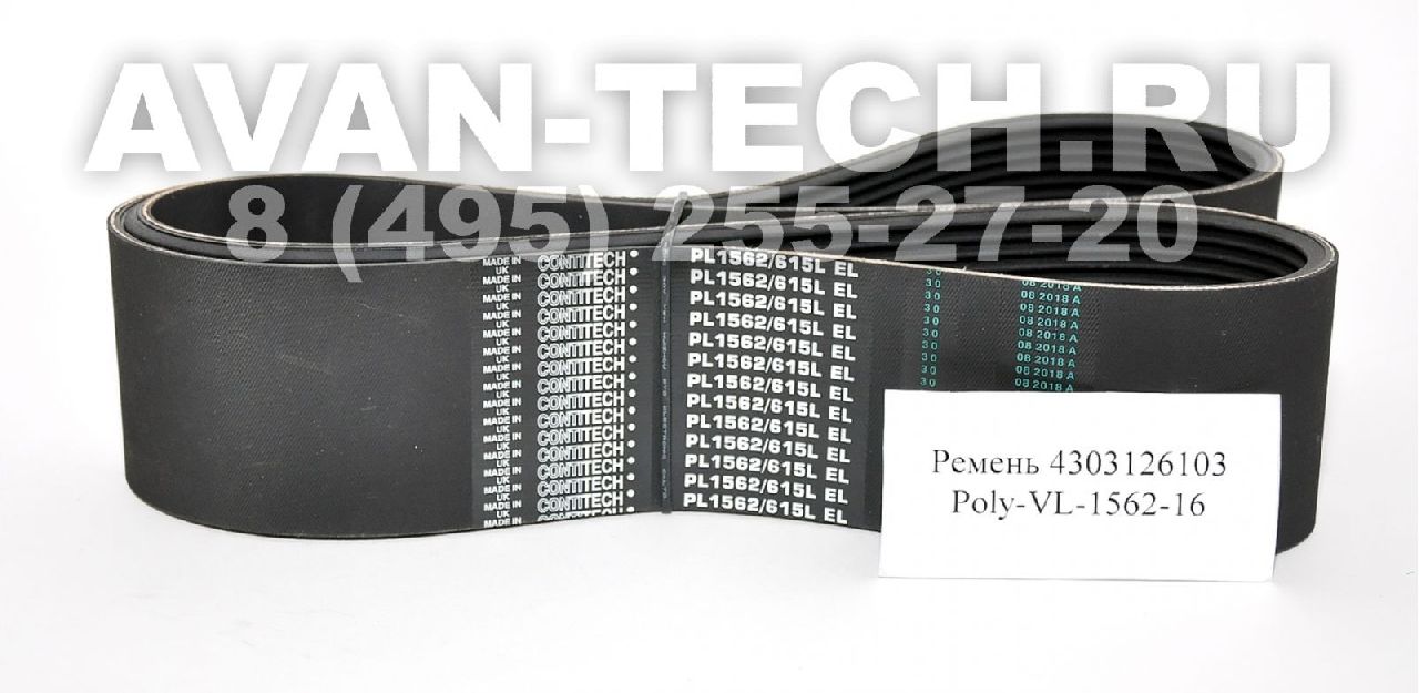 Приводной ремень 4303136103 Poly-VL-1562-16