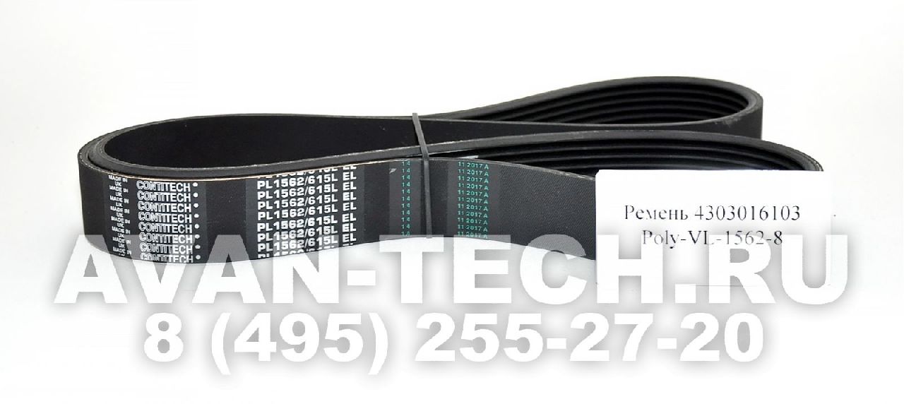 Приводной ремень 4303016103 Poly-VL-1562-8